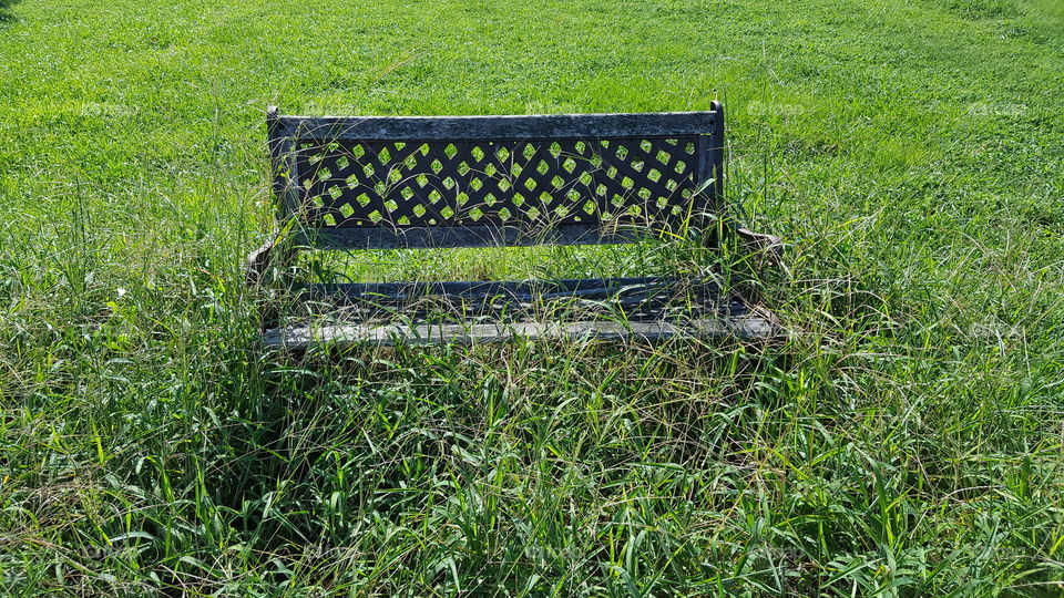 sorry old bench