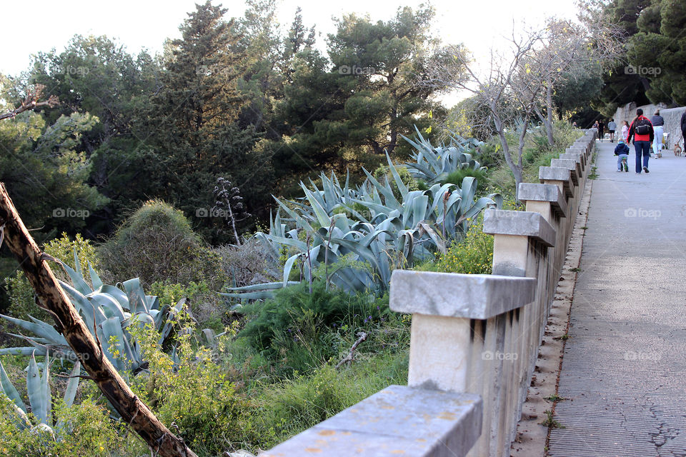 Hill of Marjan rises almost from the crntre os Split city and locals call it the lungs of the city