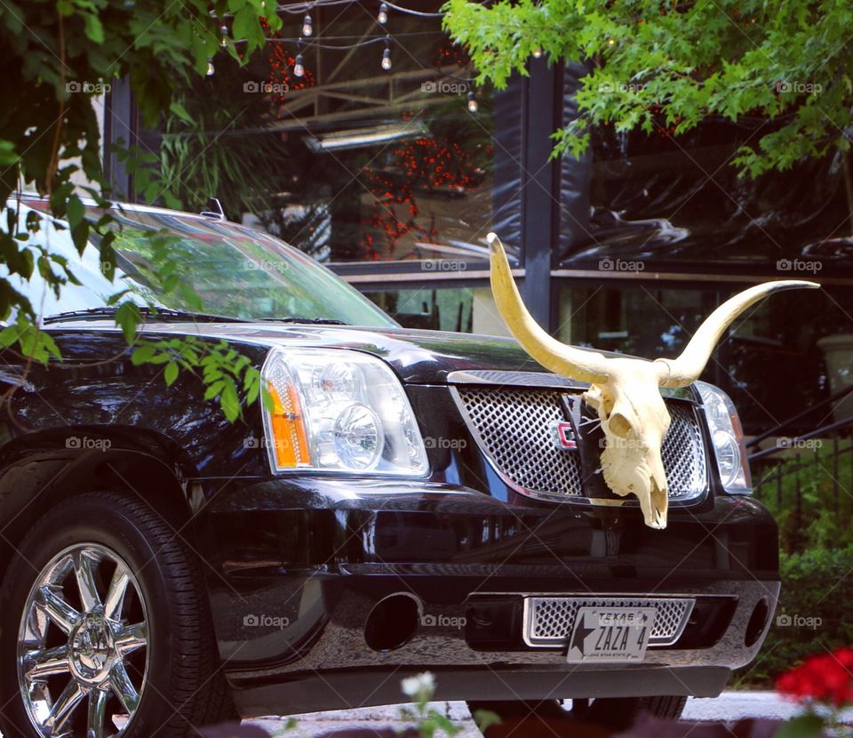 Car, Vehicle, Transportation System, Public Show, Classic