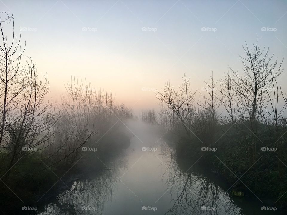 Beautiful scenery of early morning covered in fog - Rasht, gilan-Iran