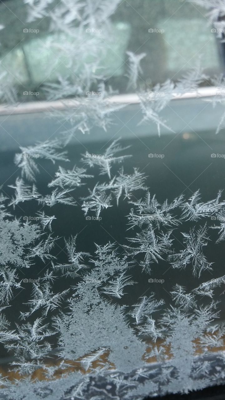 ice flakes