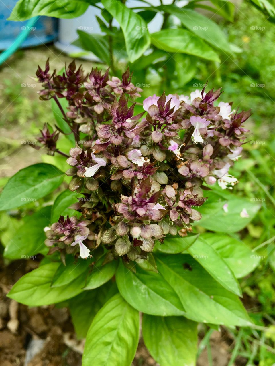 You’ll grow beautifully in your way :) 