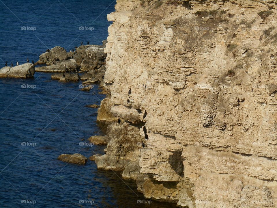 Water, No Person, Seashore, Rock, Nature