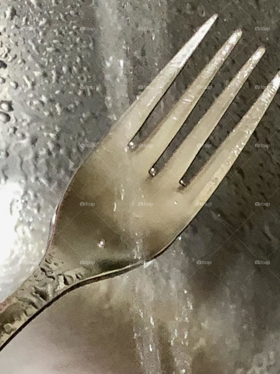 Forchetta sotto la doccia 