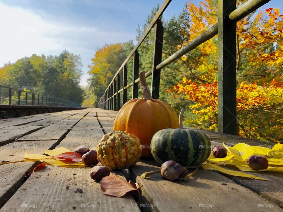 Pumpkins