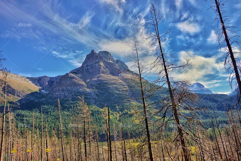 Scenic view mountain