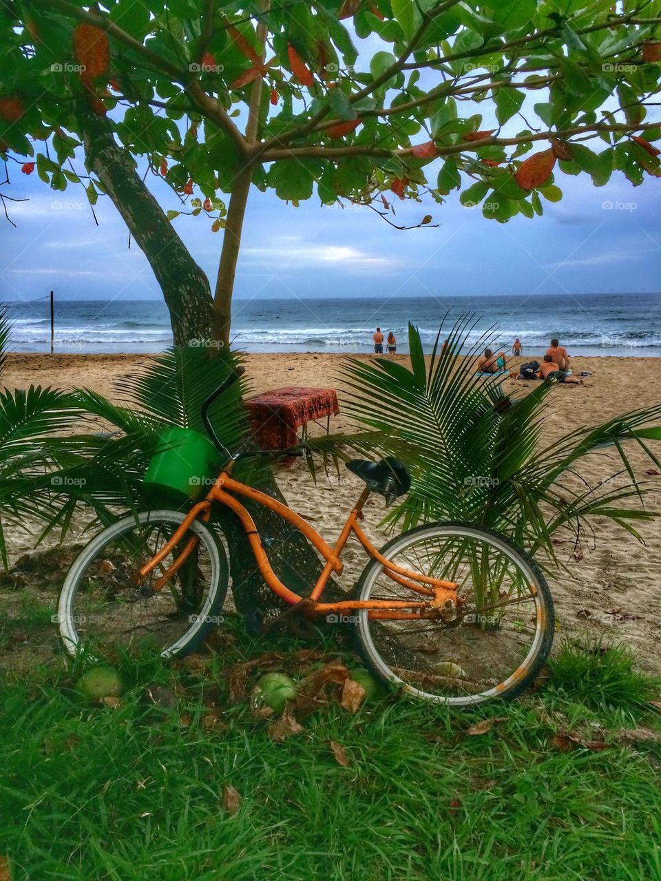 Chilling at the beach