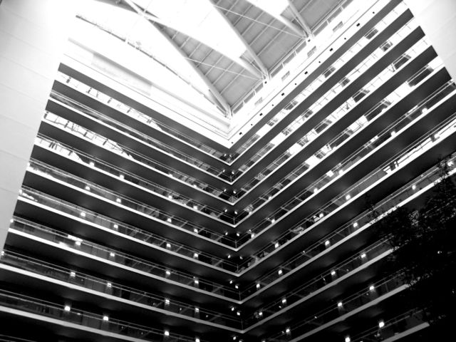 lines