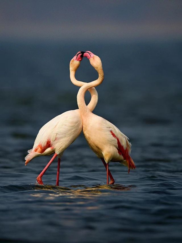 Beautiful kiss 😘