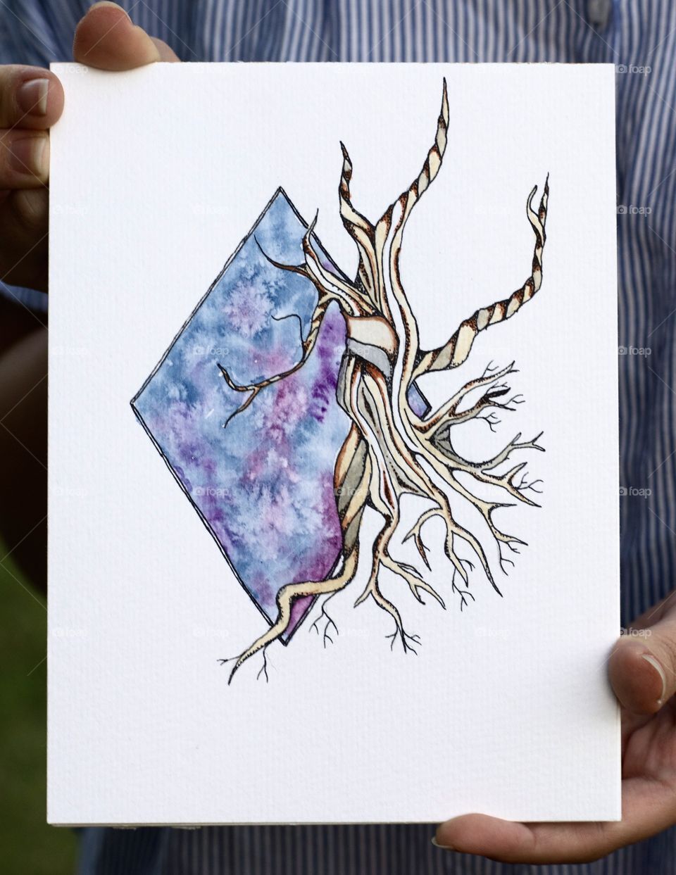 Watercolor bristlecone pine tree