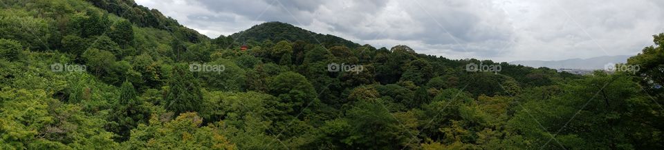 Forest Shrine - Kiyomizu-Dera