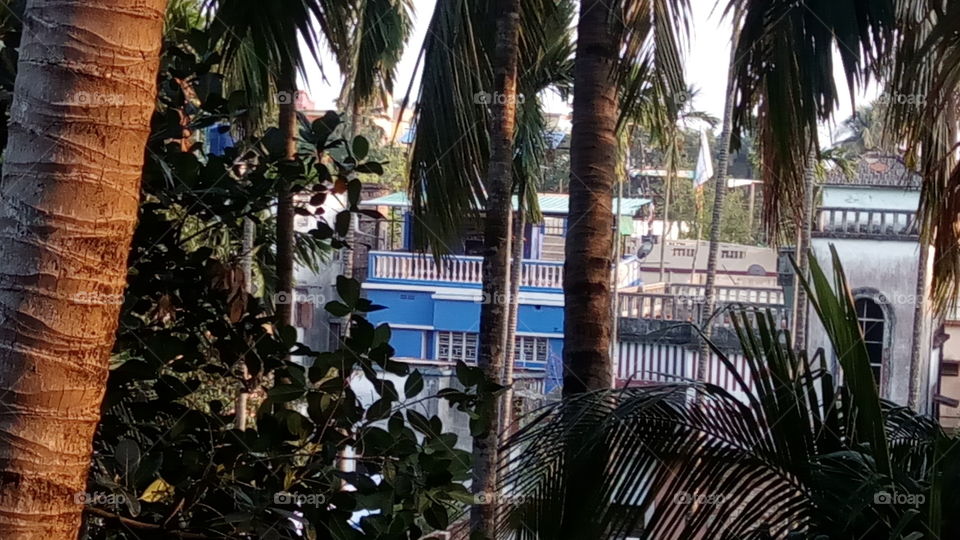 coexistence of green & concrete