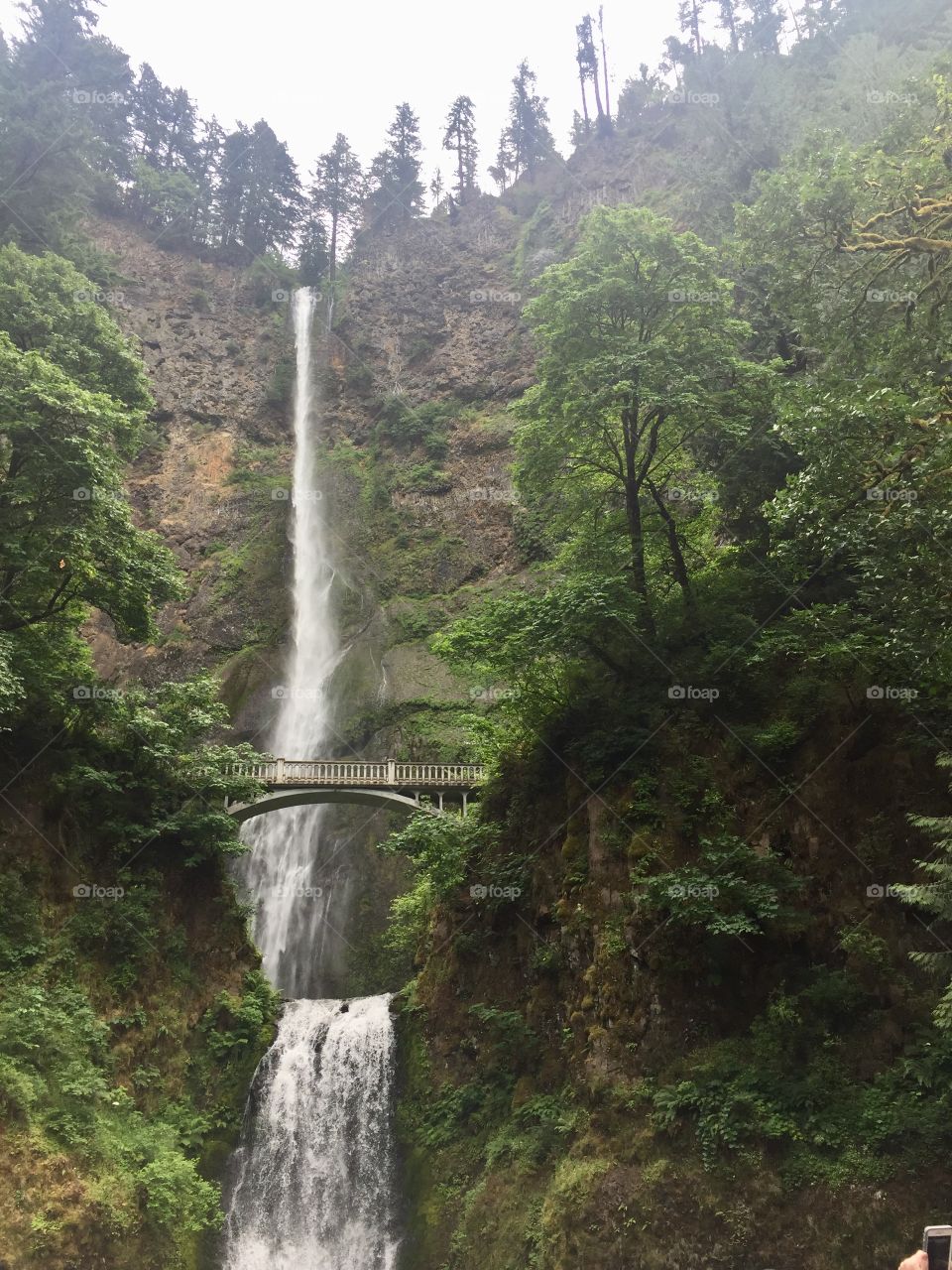 majestic multnomah falls