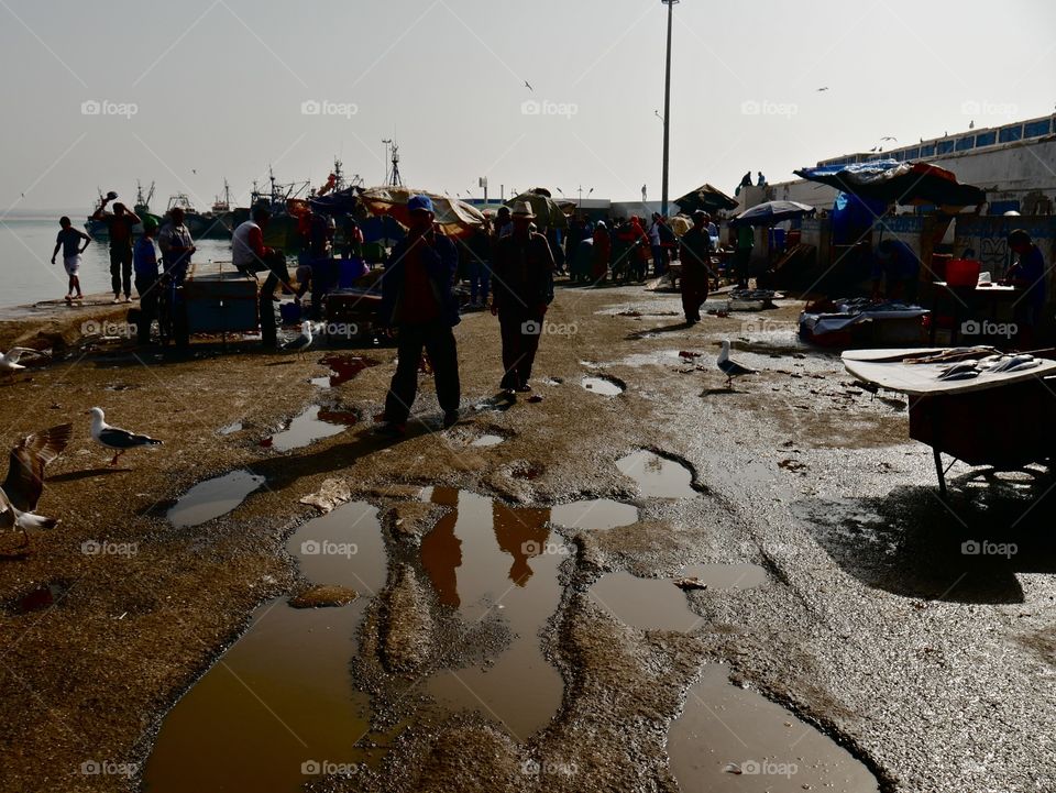 This is a photo of the fish market in Essaouira 