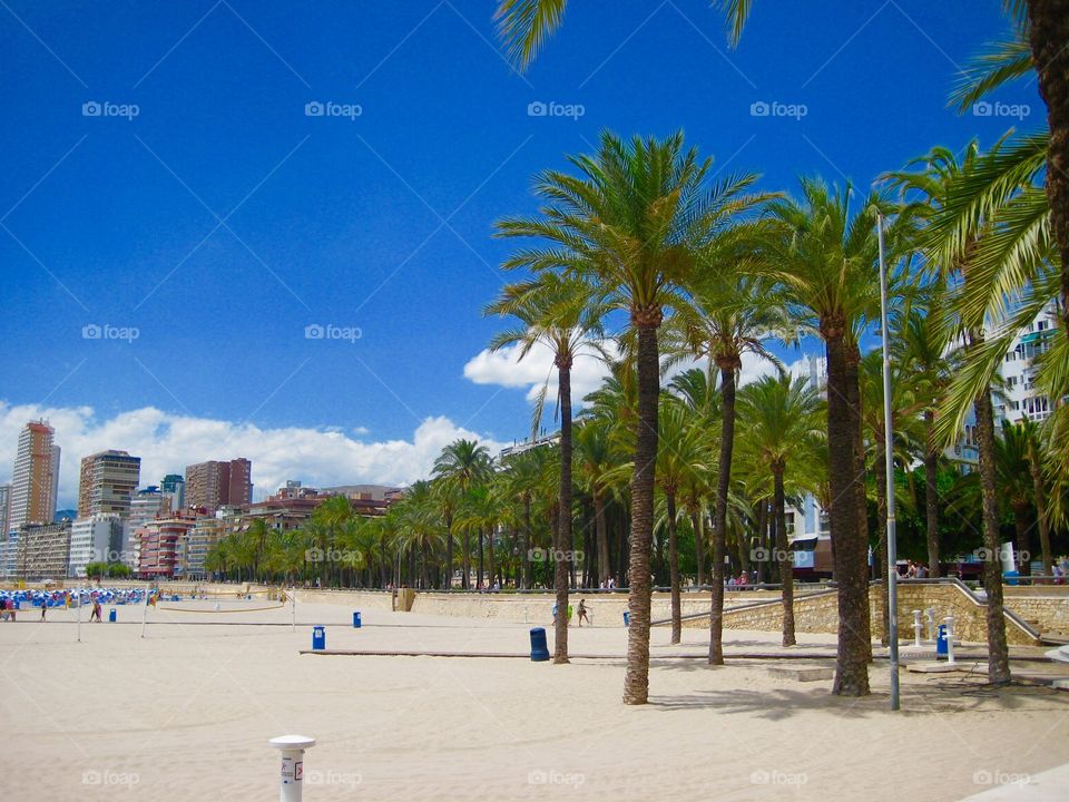 Spain Benidorm beach in the summer. 