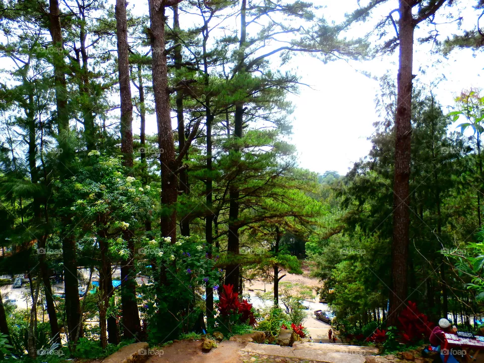 Park