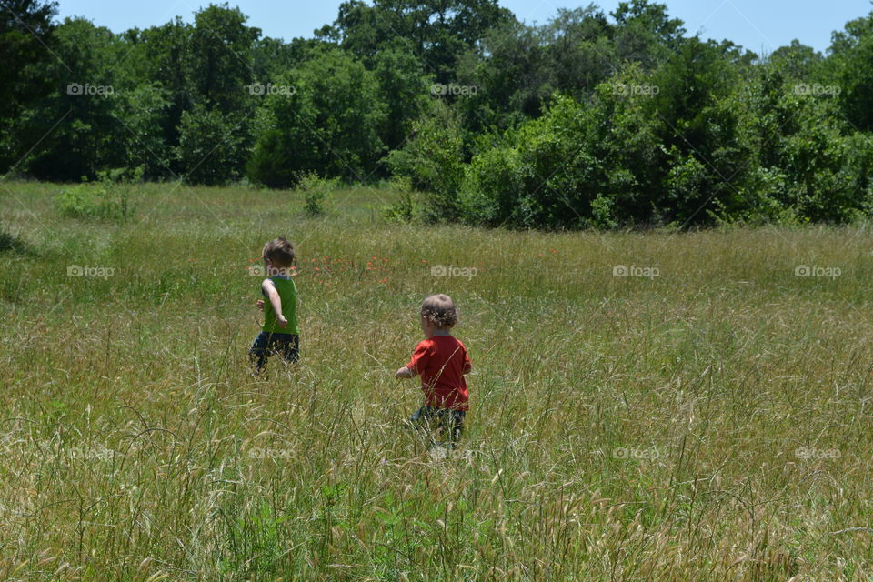 Boys walking in a field on the farm in Maysfield Texas 