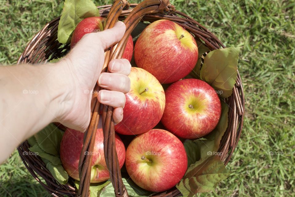 Holding a basket of apples