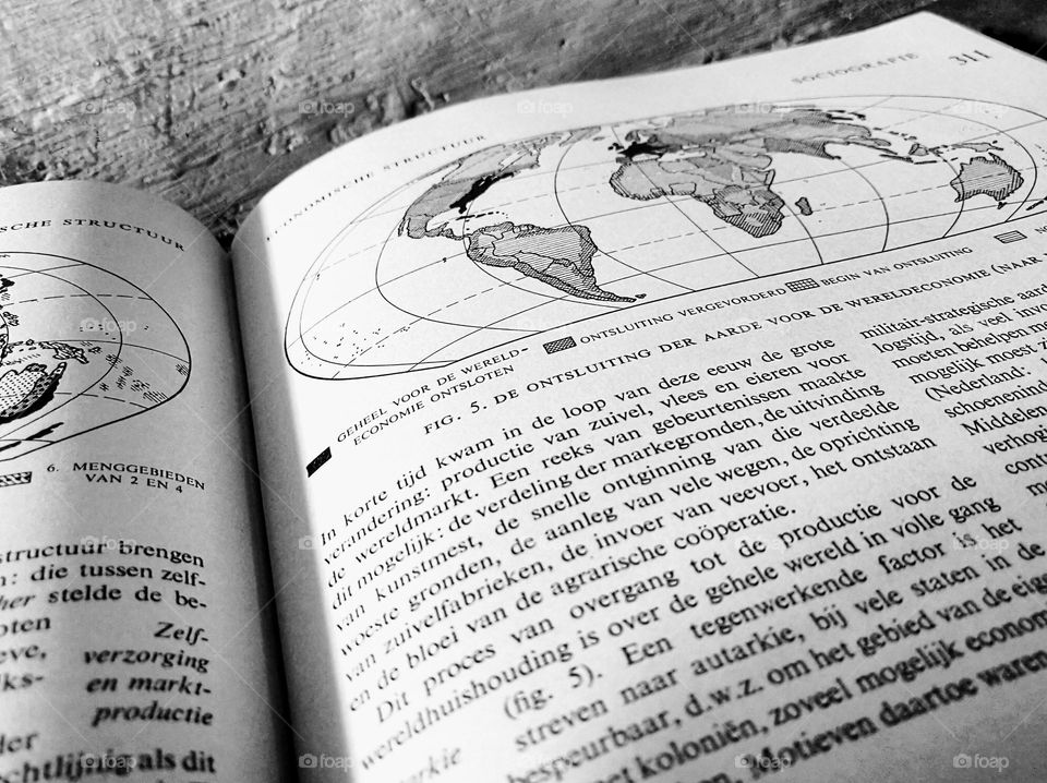 Reading the encyclopedia