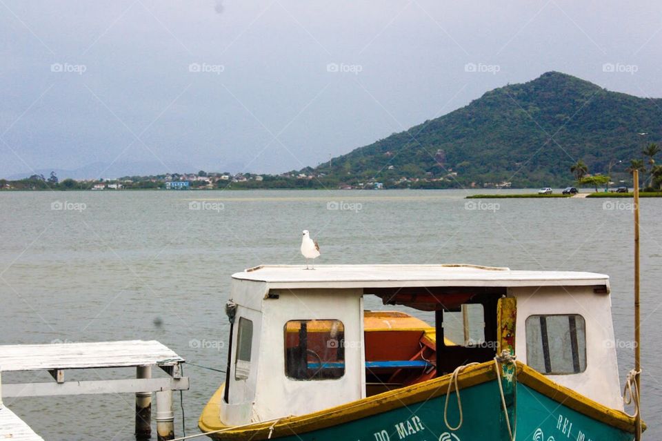 Landscape from Florianópolis 