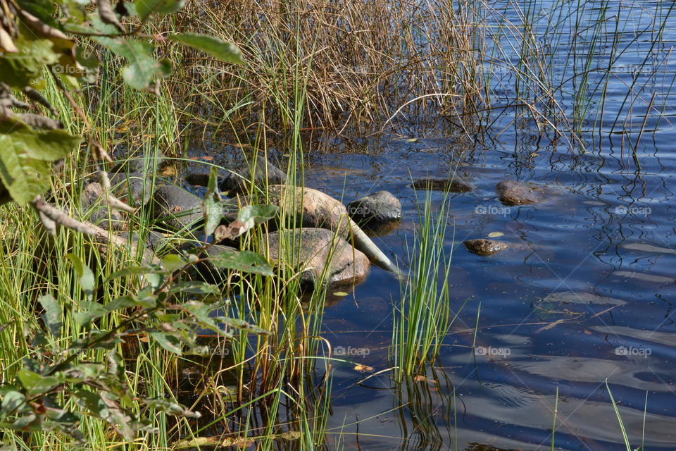 Stones in the lake