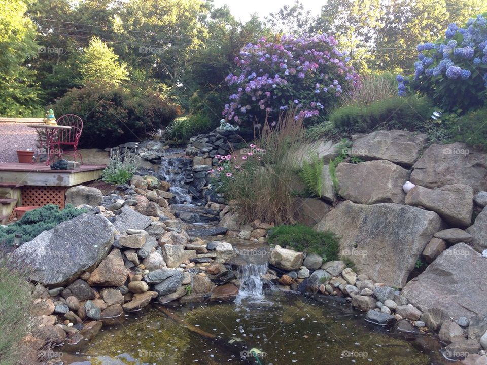 Waterfall and pond back yard