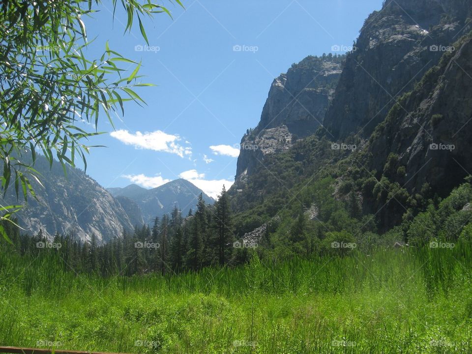 Kings canyon