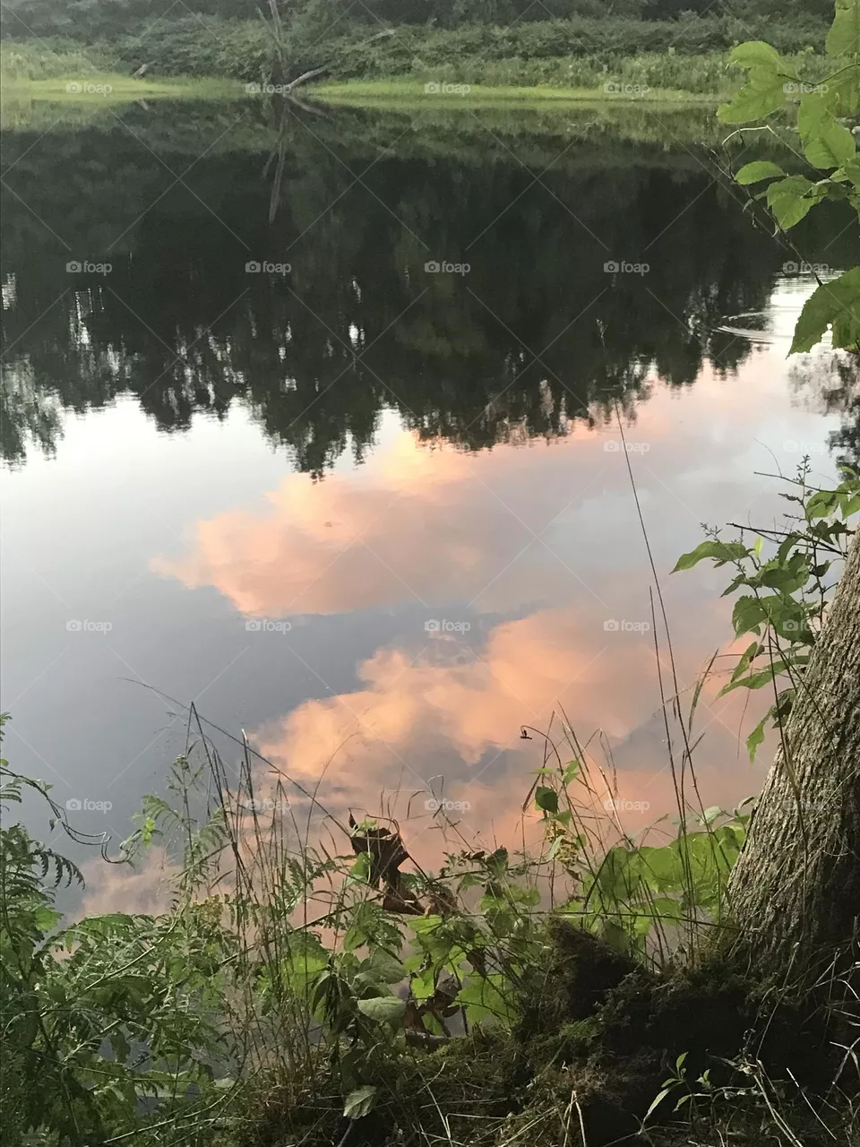 Reflection 