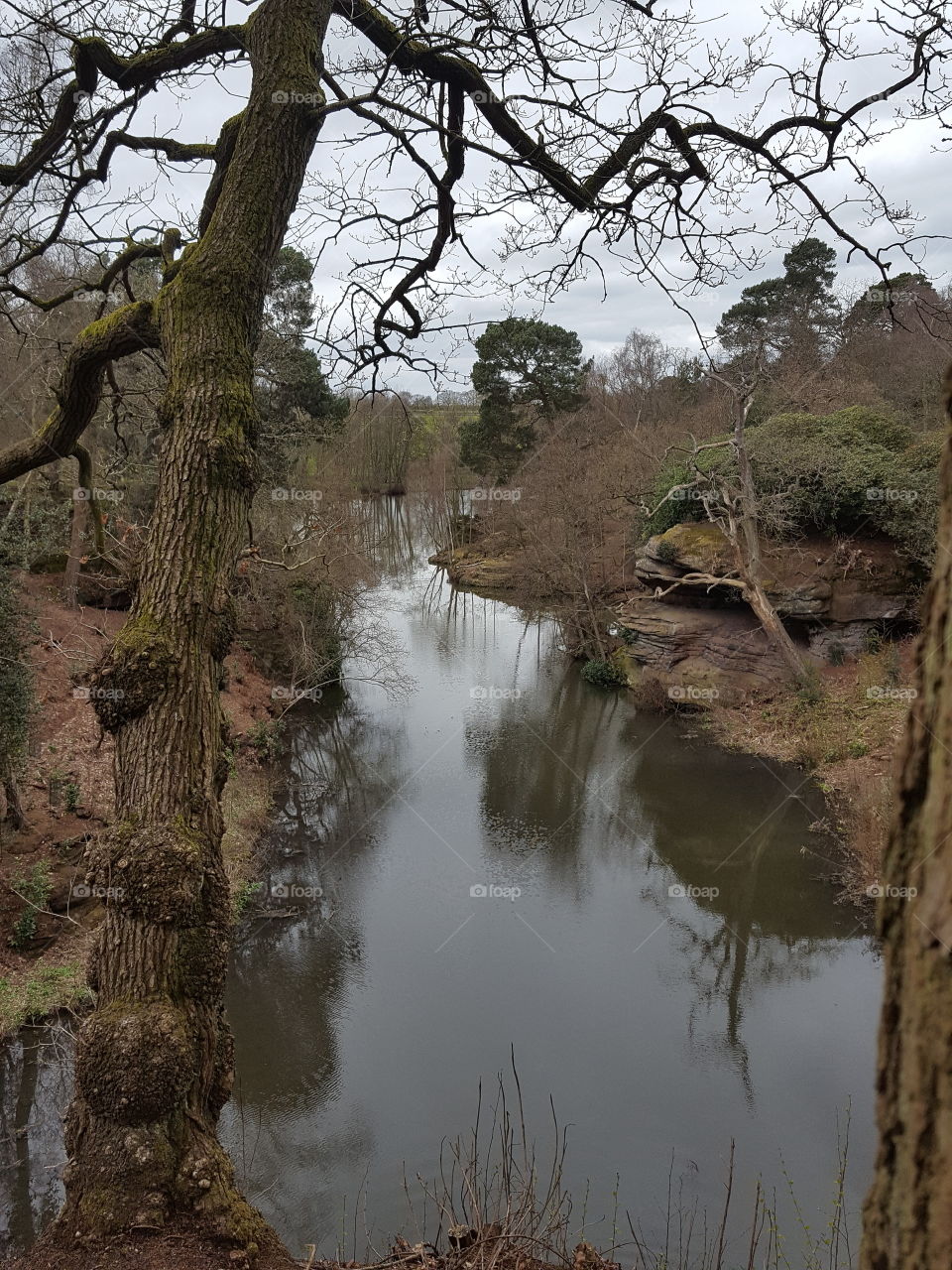 Looking across the lake