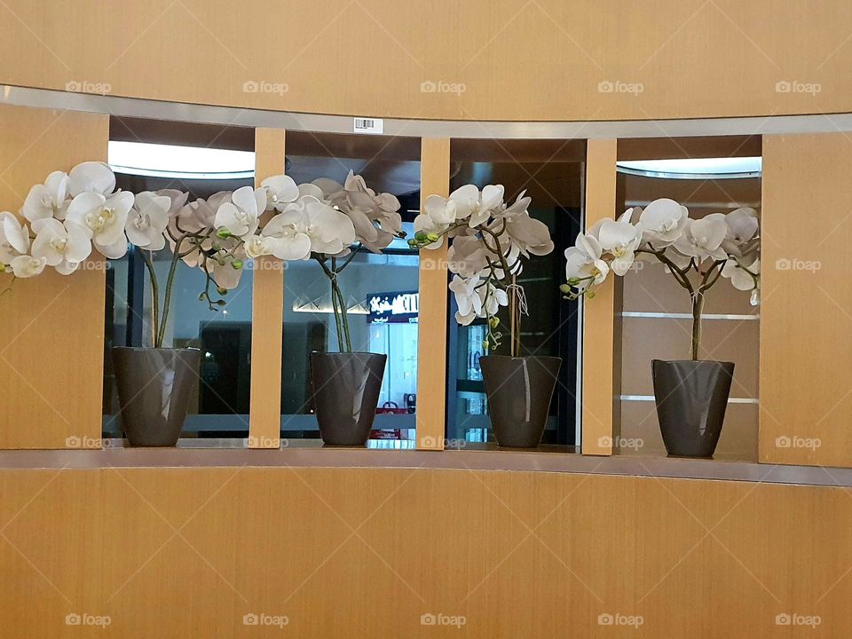 vases of flowers 💐