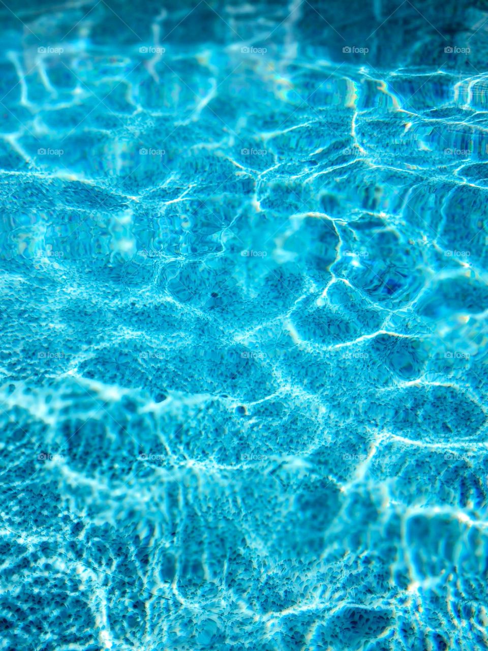 Photo of the Year: Macros and Abstract