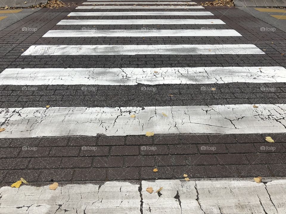 Walker stripes pedestrian crossing white painted lines on asphalt in the street
