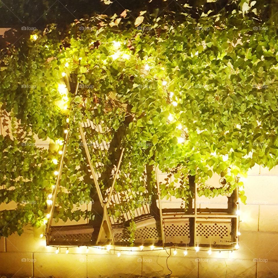 The harp of my childhood piano, on the backyard wall, surrounded by lights and foliage.