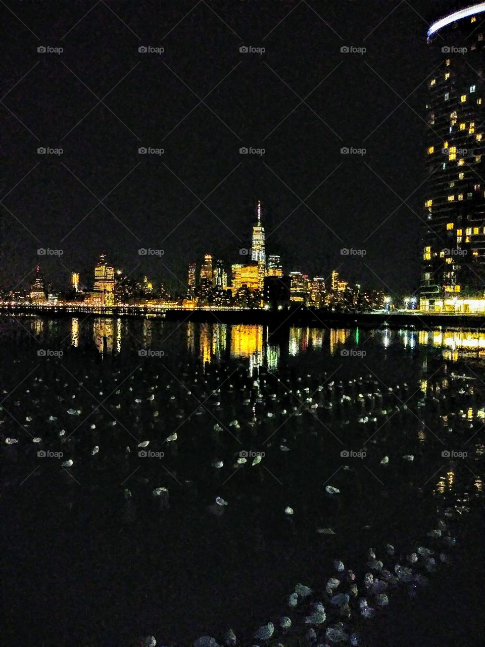 thousands of seagulls enjoying the view of Manhattan  along the Hudson River.