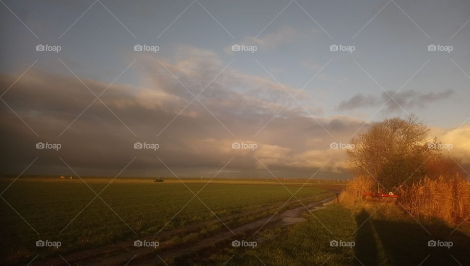 Wintry shower over the dutch countryside