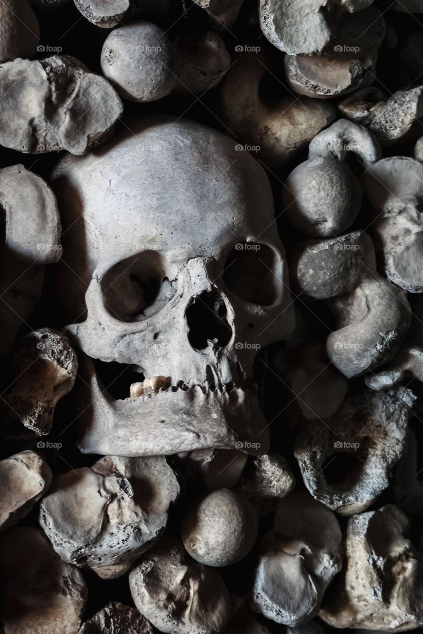 A human skull peers out of a stack of leg bones