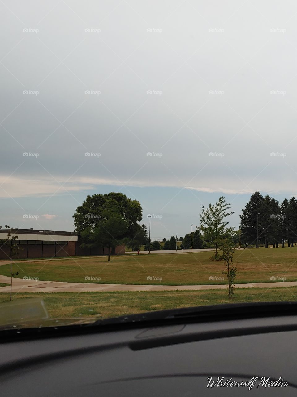 trees,clouds,green,grass