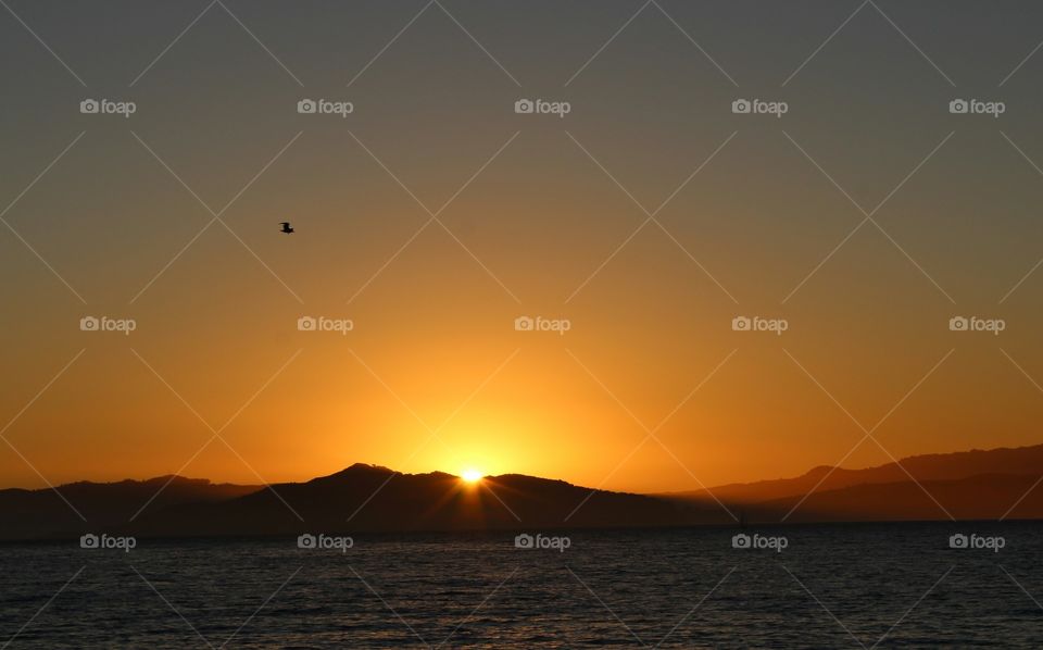 Sunset, Dawn, Water, Sun, Evening