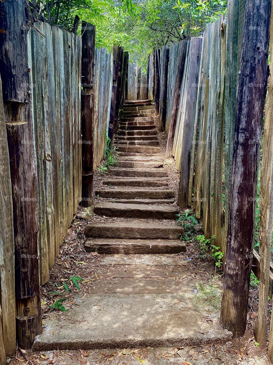 Rustic stairs