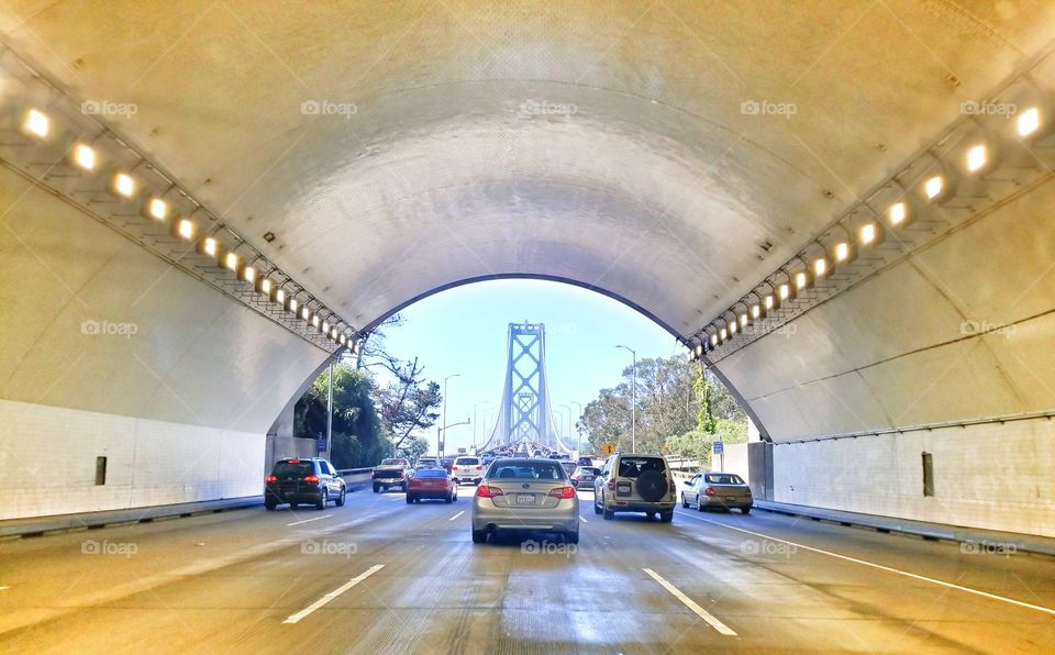 Back to Civilization