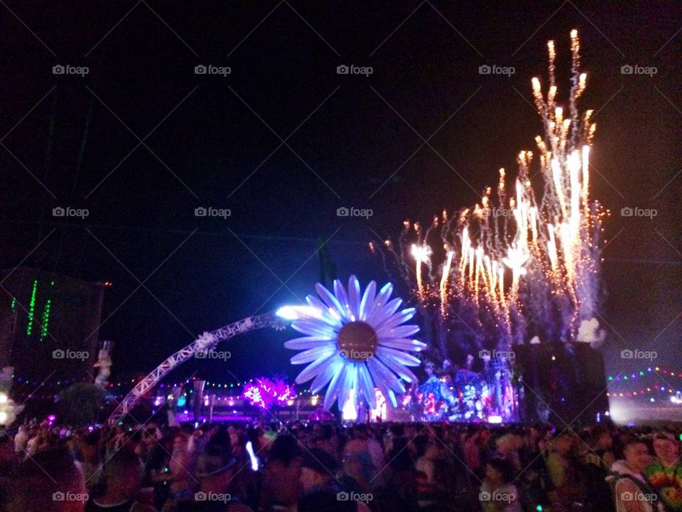 Electric Daisy