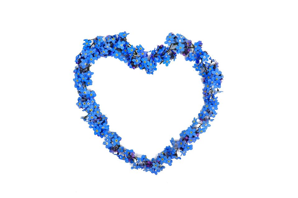 blue heart of forget-me-nots on a white background