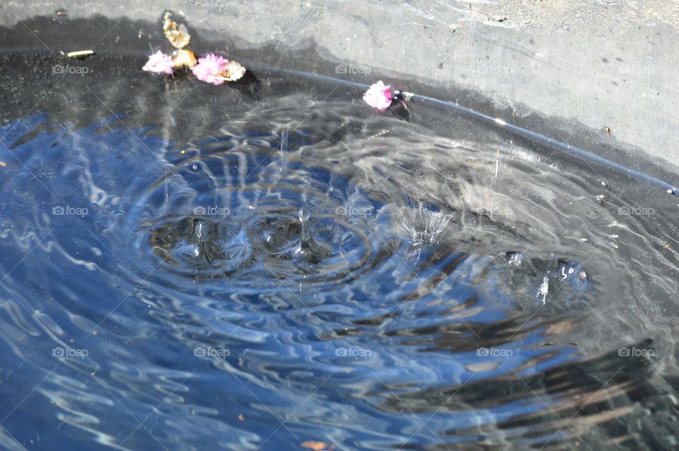 Livestock water trough. 