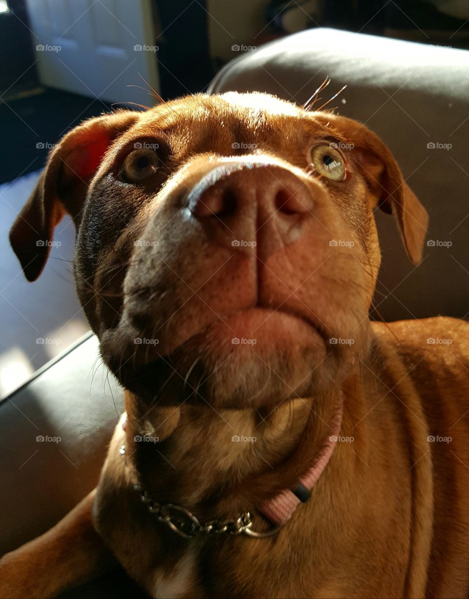 Beautiful macro shots