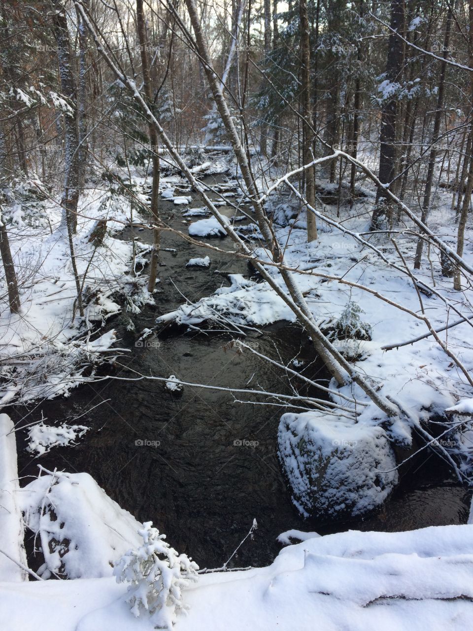 A Brook in the woods after the first snow fall