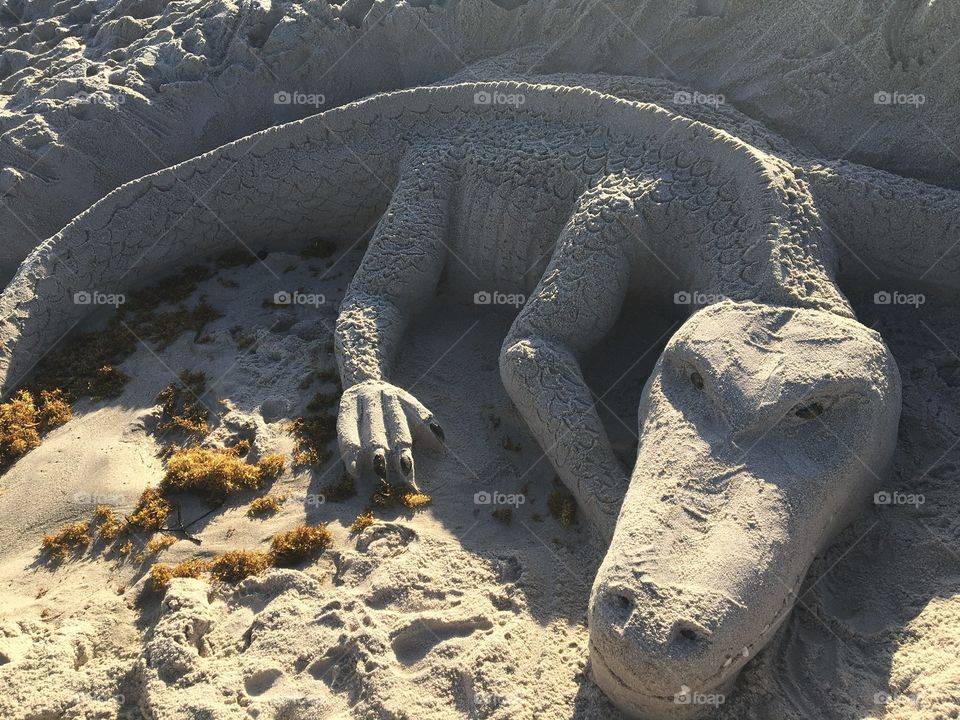 Alligator sand sculpture