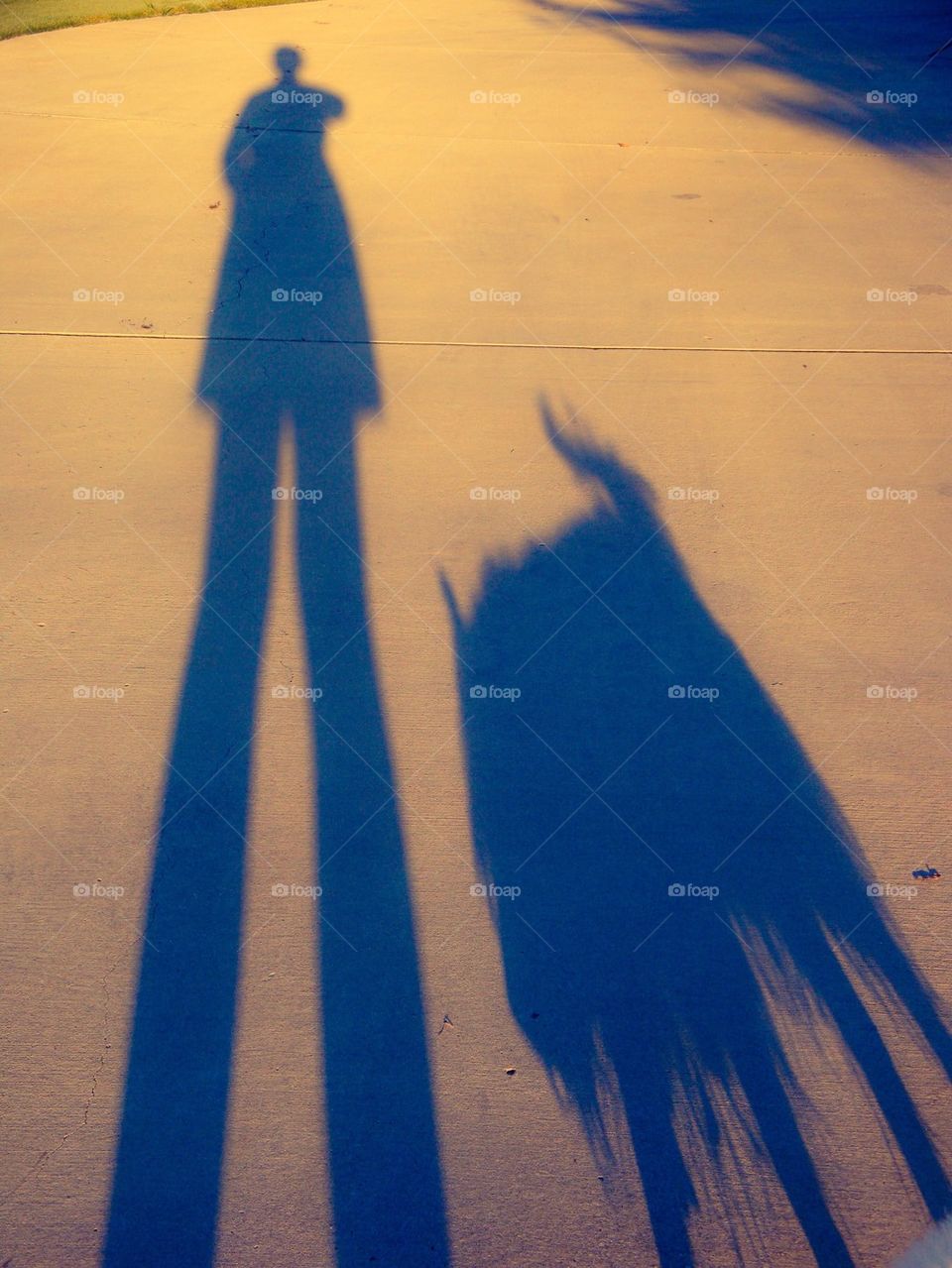 Me and my dog shadow