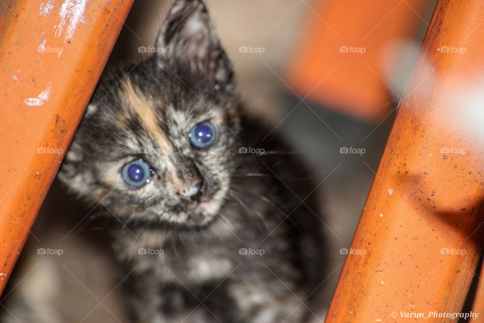 Wondering what this man doing with a camera