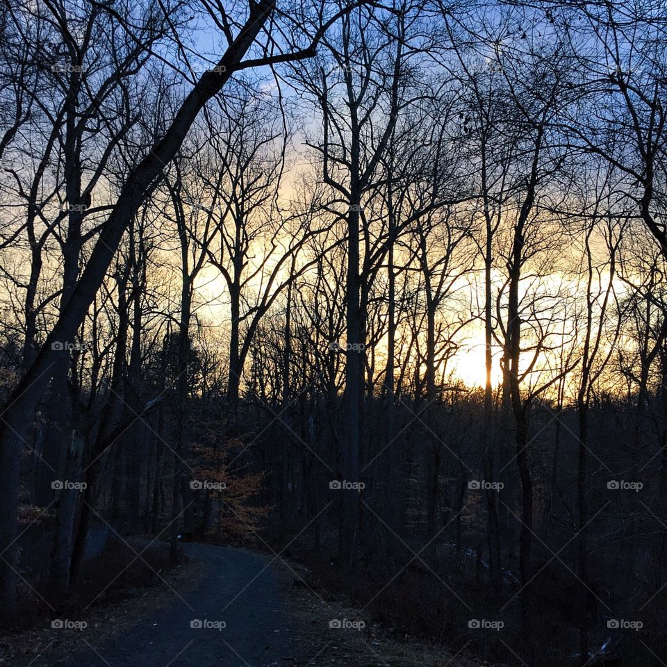 
“Only those who care about you can hear when you are quiet.” ~Unknown