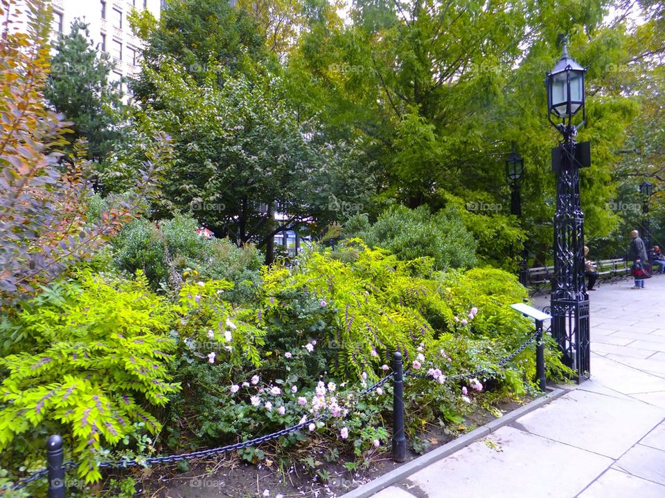 NEW YORK CITY FINANCIAL DISTRICT CITY HALL PARK